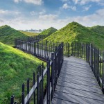 studio-marco-vermeulen-biesbosch-museumeiland-freshwater-tidal-park-the-netherlands-designboom-06