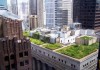 Green Roof