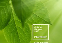 pantone