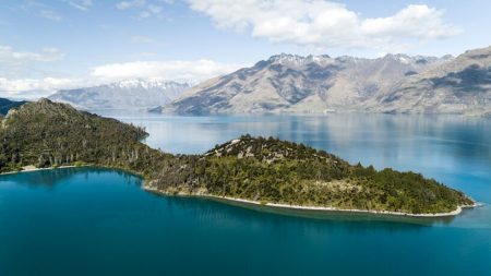 waimarino-lodge-still-waters-new-zealand-designboom-011