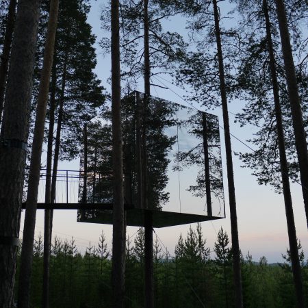 Tree Hotel (Detlef Schobert)